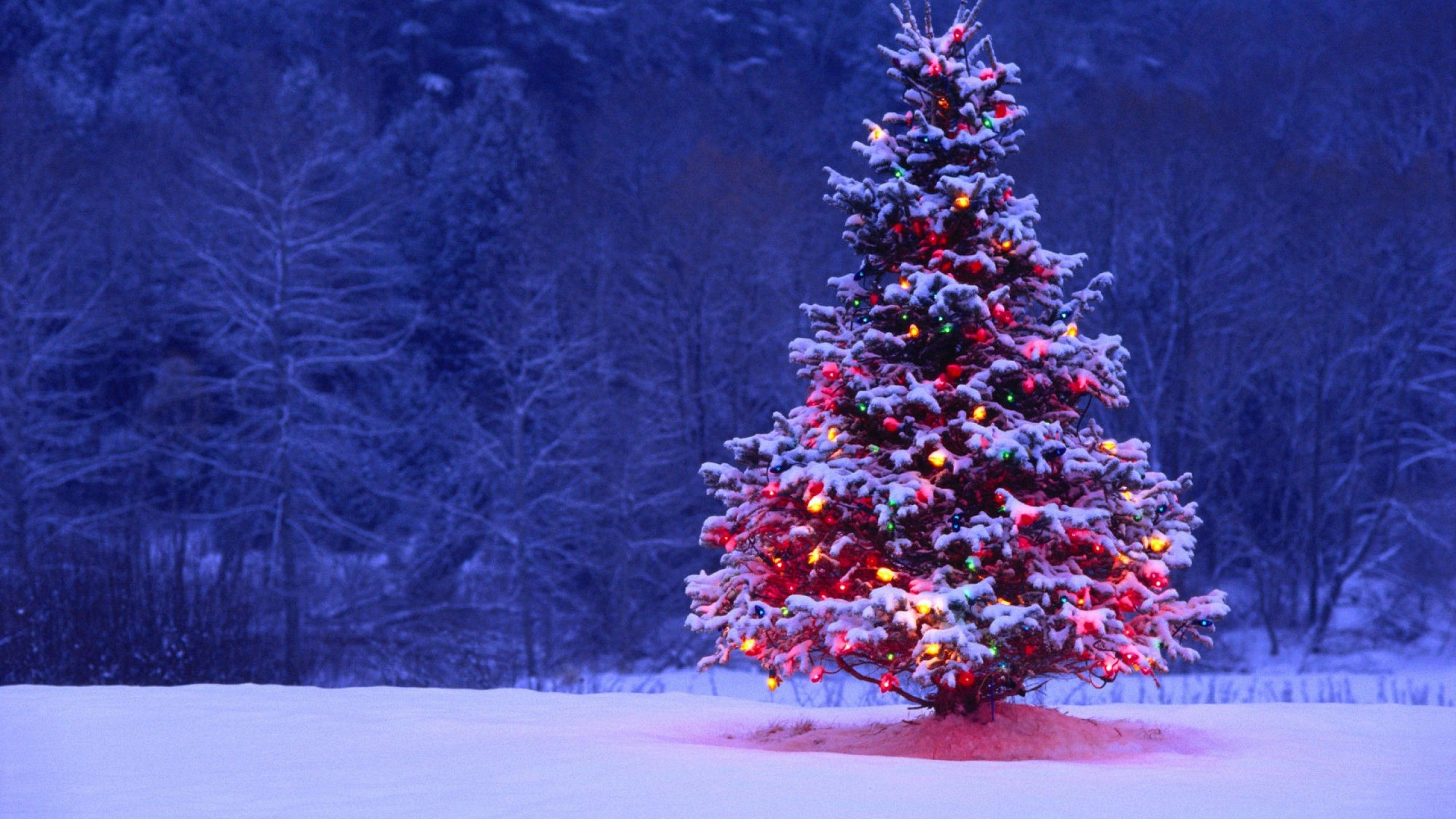 Χριστουγεννιάτικο δένδρο στο χιόνι